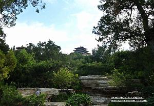 Pekin Jingshan 50